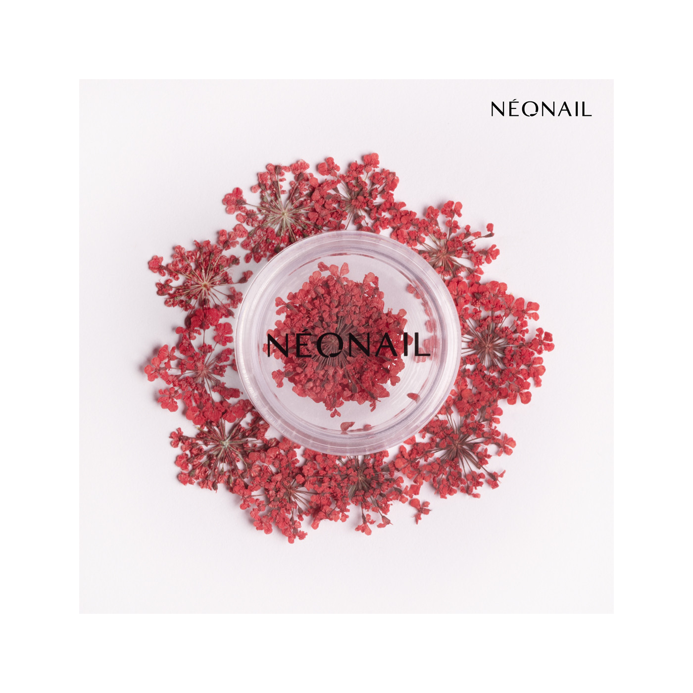 Decorazione Floreale per Unghie 08 Red